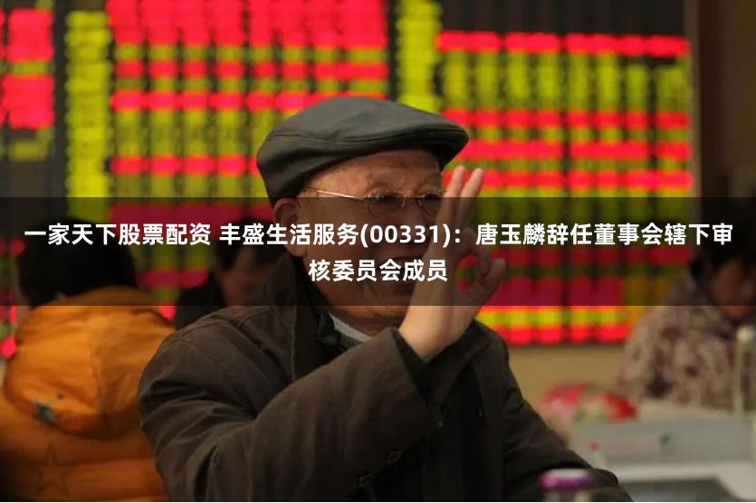 一家天下股票配资 丰盛生活服务(00331)：唐玉麟辞任董事会辖下审核委员会成员