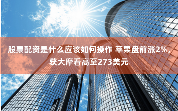 股票配资是什么应该如何操作 苹果盘前涨2%，获大摩看高至273美元