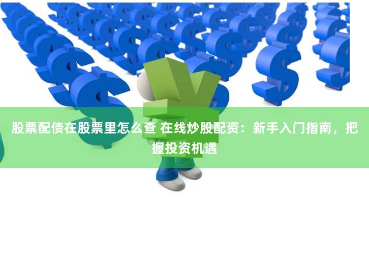 股票配债在股票里怎么查 在线炒股配资：新手入门指南，把握投资机遇