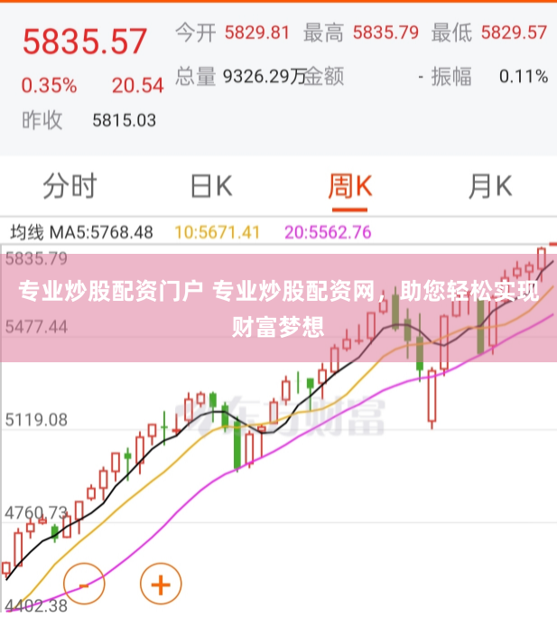 专业炒股配资门户 专业炒股配资网，助您轻松实现财富梦想